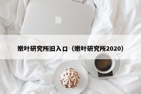 嫩叶研究所旧入口（嫩叶研究所2020）