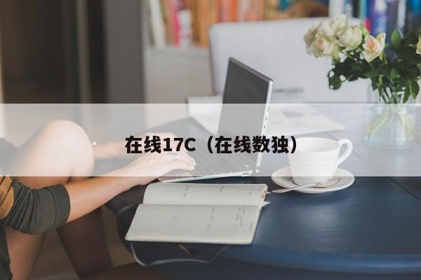 在线17C（在线数独）