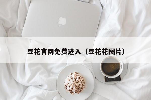 豆花官网免费进入（豆花花图片）