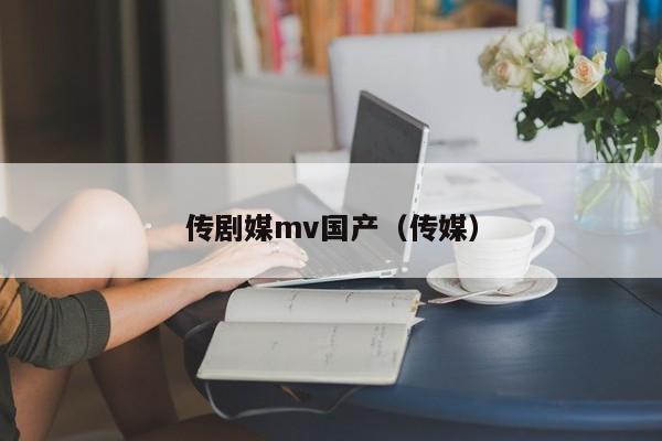传剧媒mv国产（传媒）